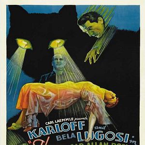 Fotoğraf The Black Cat