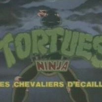 Fotoğraf Teenage Mutant Ninja Turtles