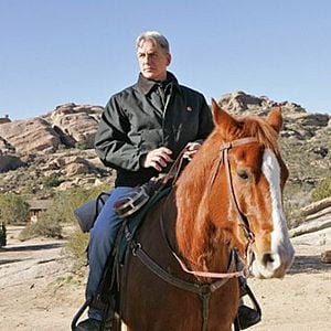 Fotoğraf Mark Harmon