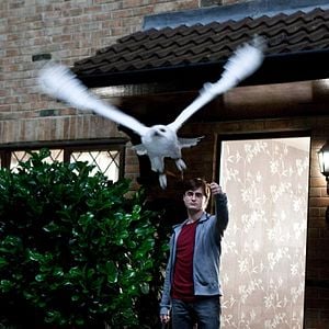 Fotoğraf Daniel Radcliffe