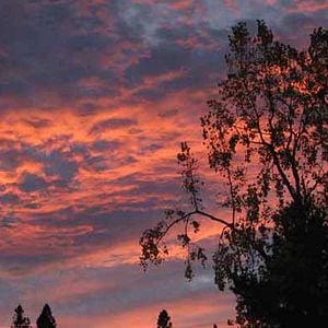 Fotoğraf Babysitter Wanted