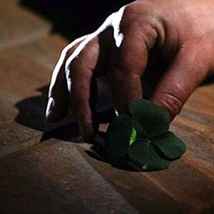 Fotoğraf Leprechaun