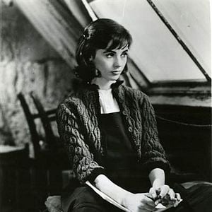 Fotoğraf Anne Frank'in Hatıra Defteri