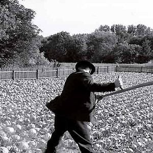 Fotoğraf Beyaz Bant