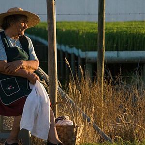 Fotoğraf Alejandro Fernández Almendras