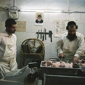 Fotoğraf Ran Danker