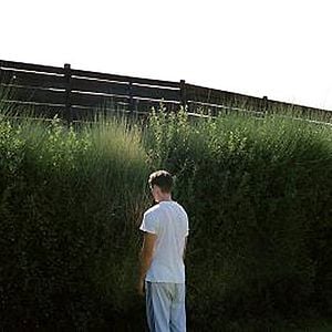 Fotoğraf Köpek Dişi