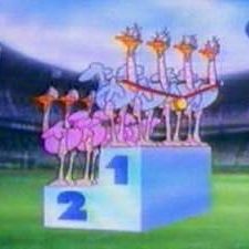 Fotoğraf Zoo Olympics