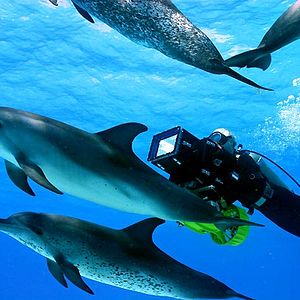 Fotoğraf François Mantello