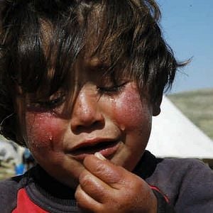 Fotoğraf Son Mevsim: Şavaklar