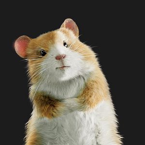 Fotoğraf Hoyt Yeatman