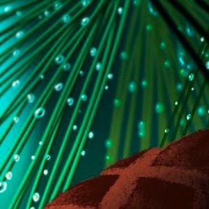 Fotoğraf Gary Rydstrom