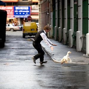 Fotoğraf Dagur Kari