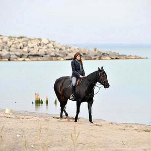 Fotoğraf George A. Romero