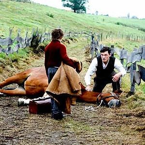 Fotoğraf Özgürlük