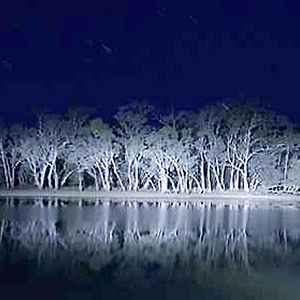 Fotoğraf Joel Anderson (II)