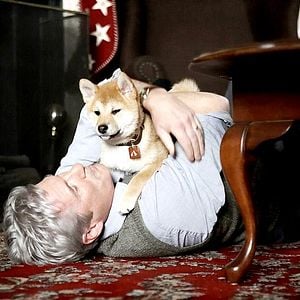 Fotoğraf Hachi: A Dog’s Tale