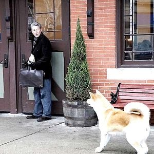 Fotoğraf Hachi: A Dog’s Tale