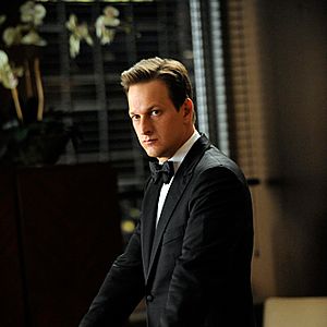 Fotoğraf The Good Wife