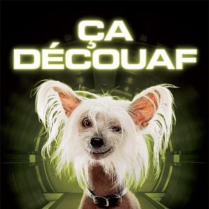 Fotoğraf Brad Peyton