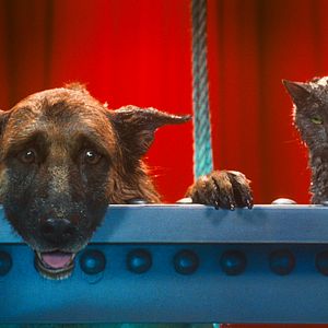 Fotoğraf Kevin Lima