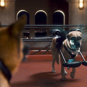 Fotoğraf Kevin Lima