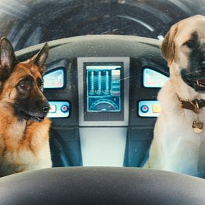 Fotoğraf Kevin Lima