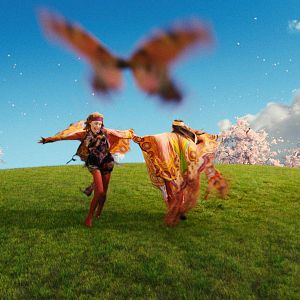 Fotoğraf Saoirse Ronan