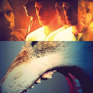 Fotoğraf Hayvan Krallığı