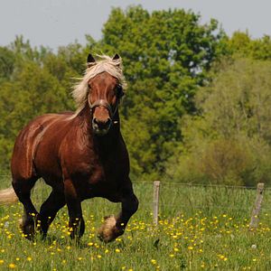 Fotoğraf Frédéric Goupil