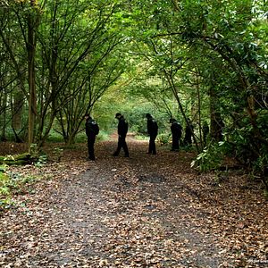 Fotoğraf Joe Lawlor