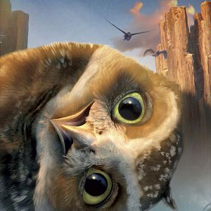 Fotoğraf Baykuş Krallığı Efsanesi