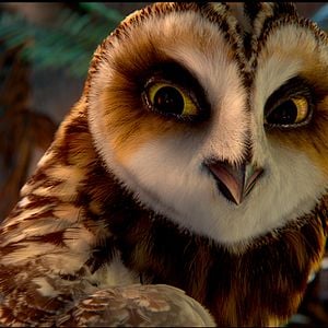 Fotoğraf Baykuş Krallığı Efsanesi