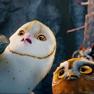 Fotoğraf Baykuş Krallığı Efsanesi