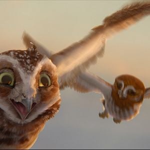 Fotoğraf Baykuş Krallığı Efsanesi