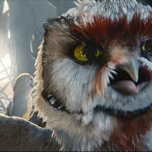 Fotoğraf Baykuş Krallığı Efsanesi