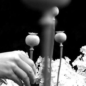 Fotoğraf Pierre Creton