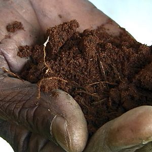 Fotoğraf Sorun Küresel, Çözüm Yerel