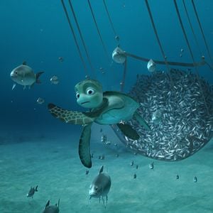 Fotoğraf Sammy'nin Maceraları