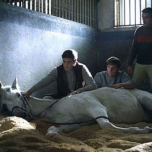 Fotoğraf La Duquesa