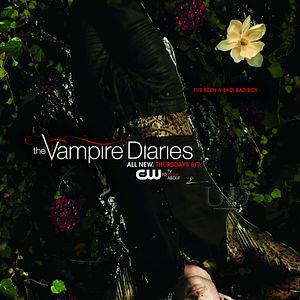 Fotoğraf The Vampire Diaries