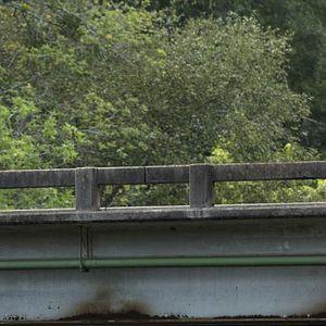 Fotoğraf Ian Somerhalder