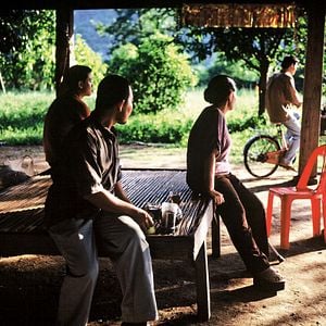 Fotoğraf Apichatpong Weerasethakul