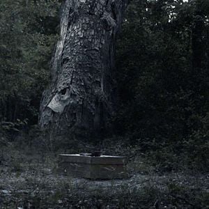 Fotoğraf Alistair Banks Griffin