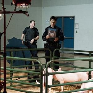 Fotoğraf Rookie Blue