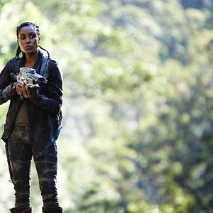 Fotoğraf Terra Nova