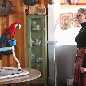 Fotoğraf Happy Endings