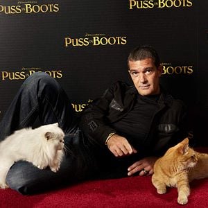 Fotoğraf Antonio Banderas