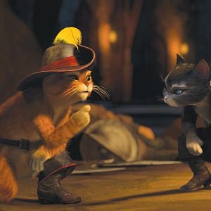 Fotoğraf Çizmeli Kedi