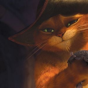 Fotoğraf Çizmeli Kedi